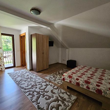 Casa Alba Villa Borşa Eksteriør billede