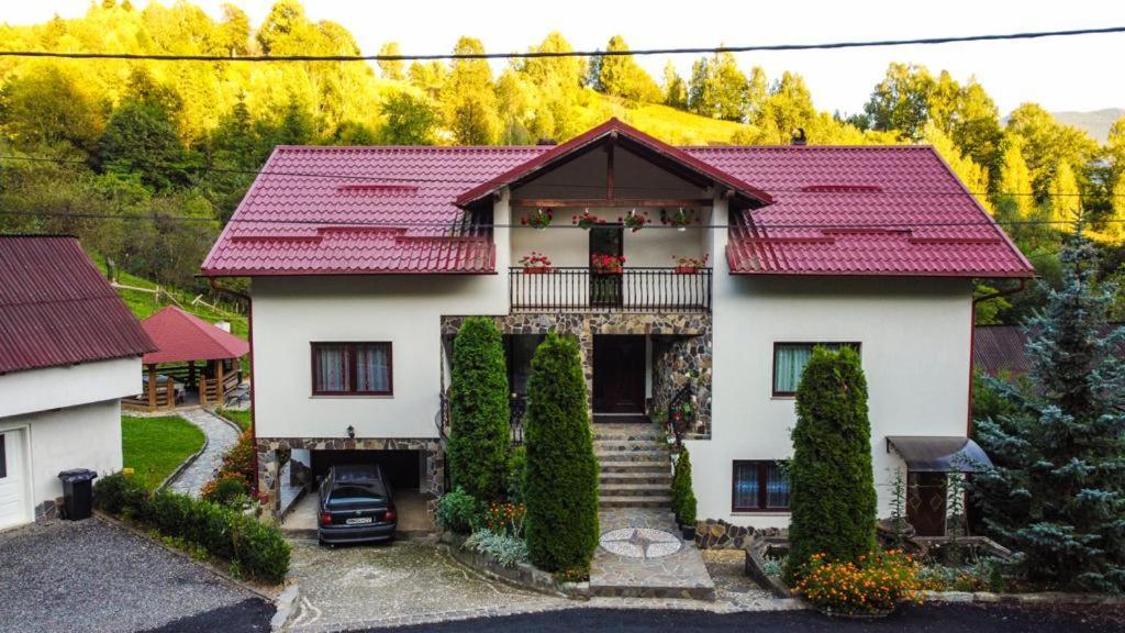 Casa Alba Villa Borşa Eksteriør billede