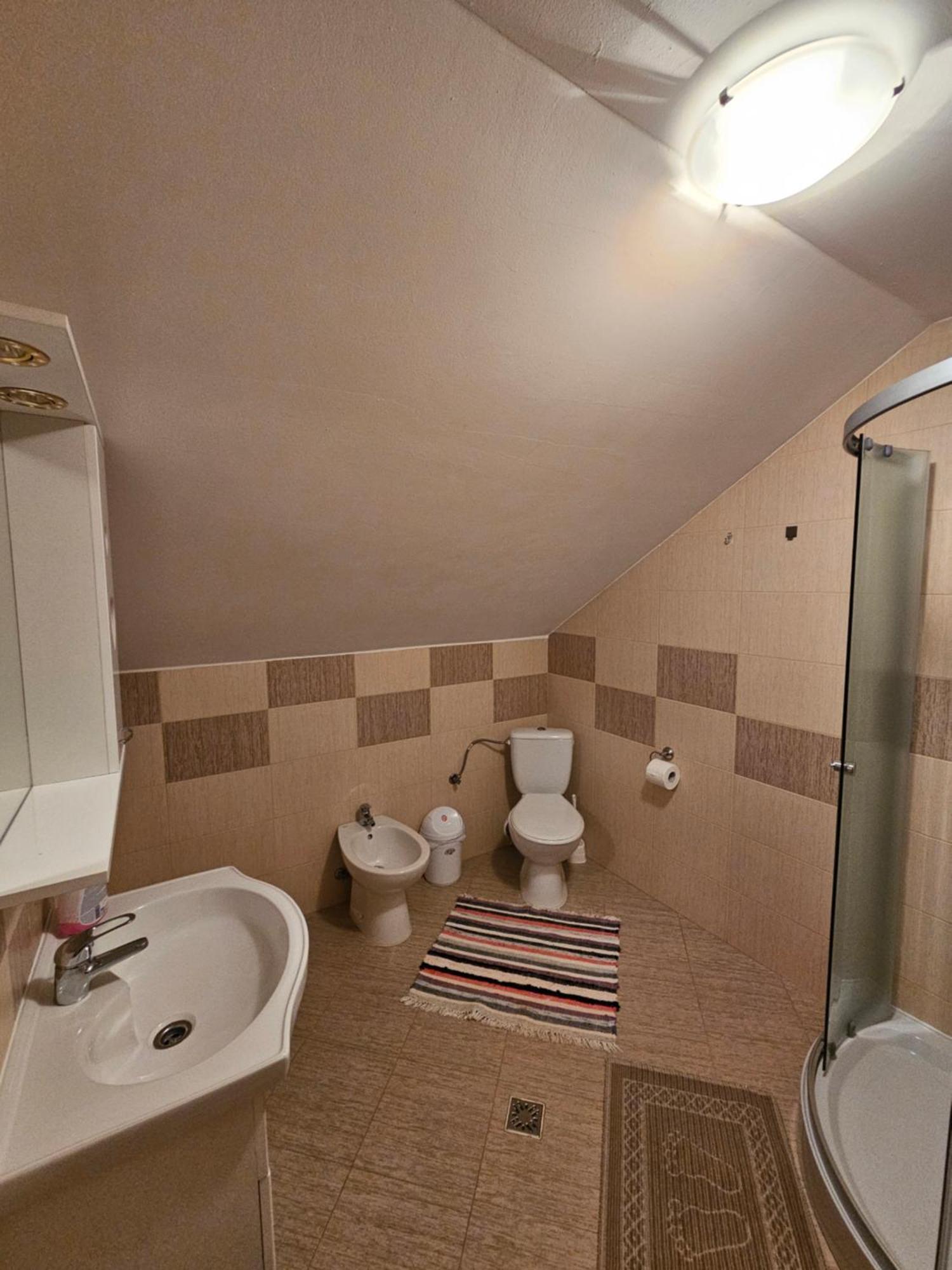 Casa Alba Villa Borşa Eksteriør billede