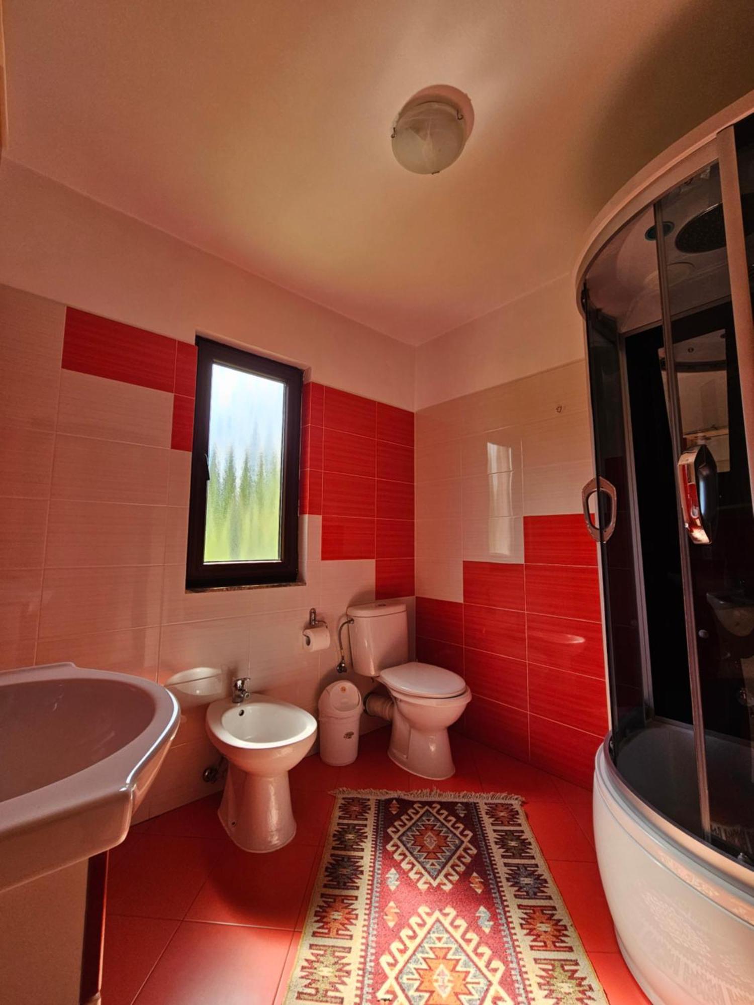 Casa Alba Villa Borşa Eksteriør billede