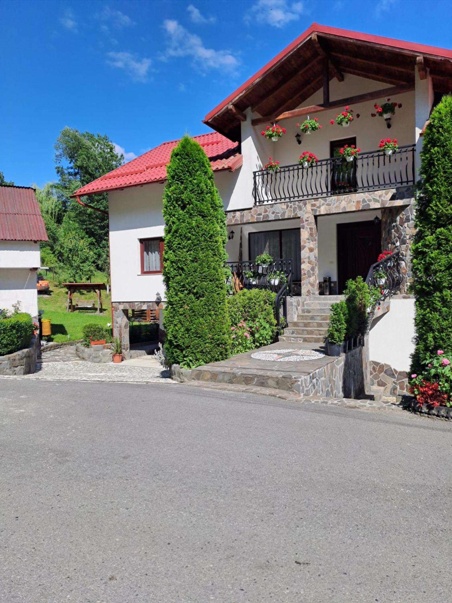 Casa Alba Villa Borşa Eksteriør billede