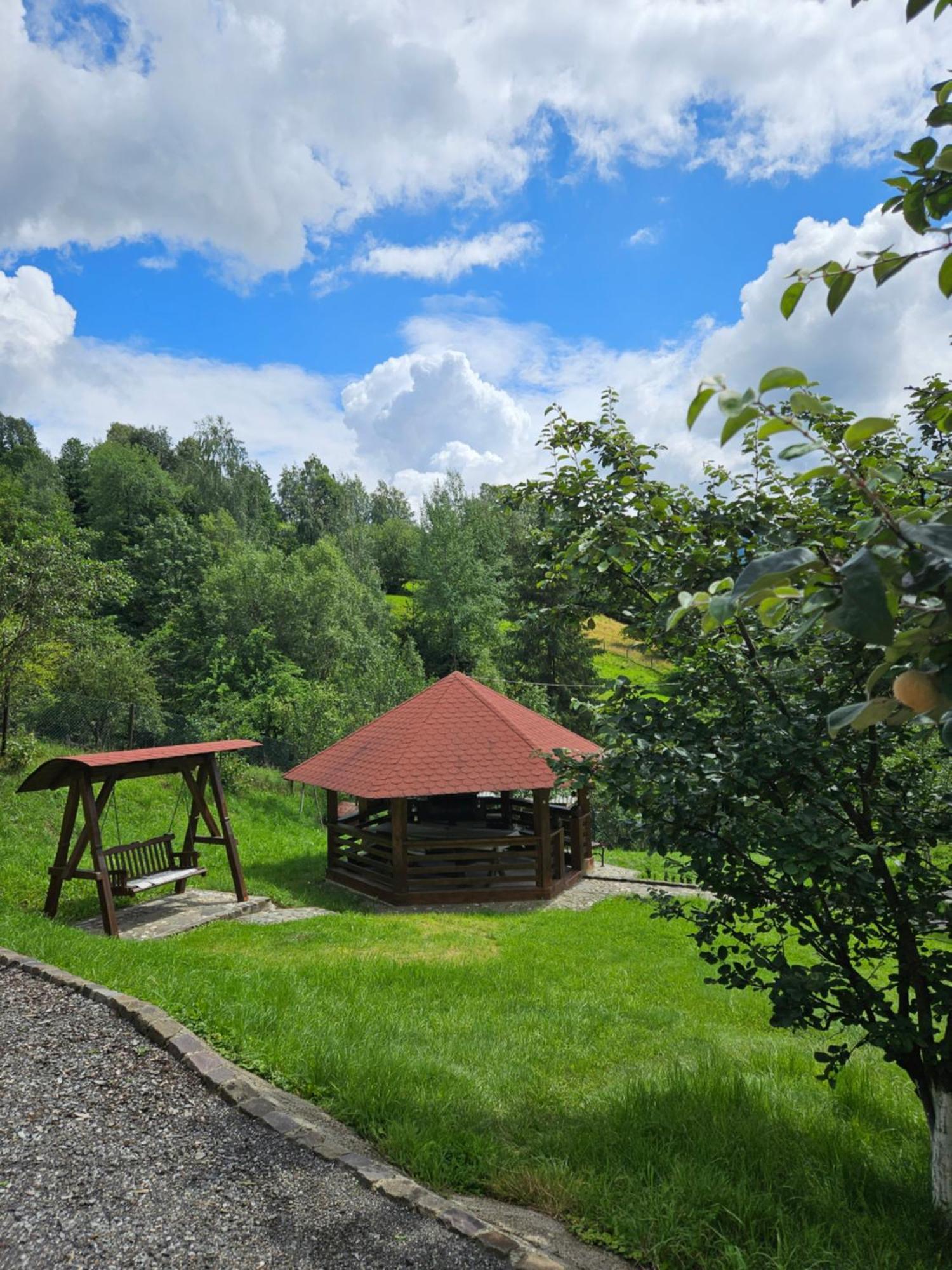 Casa Alba Villa Borşa Eksteriør billede